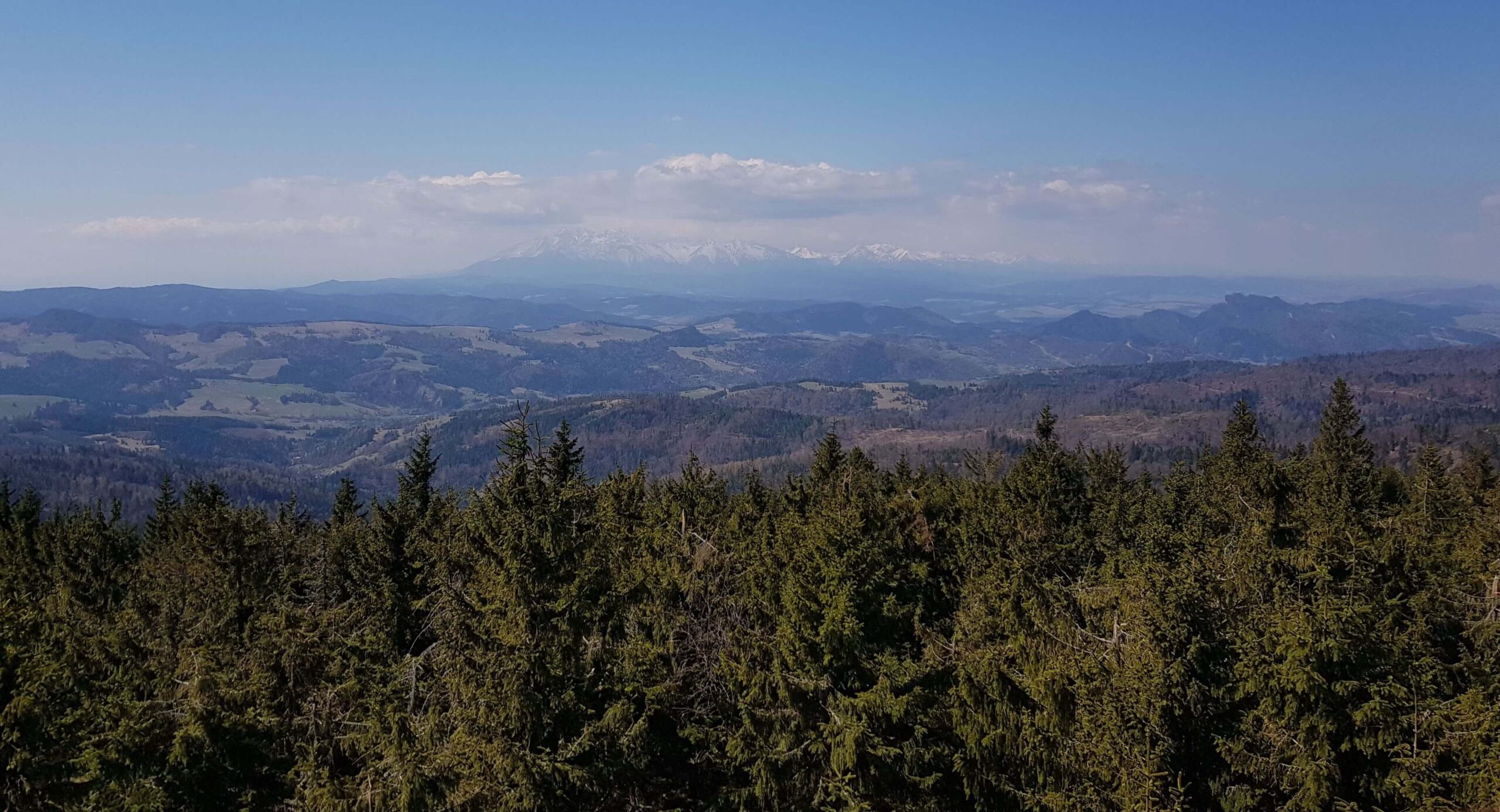 Beskid Sądecki: Radziejowa