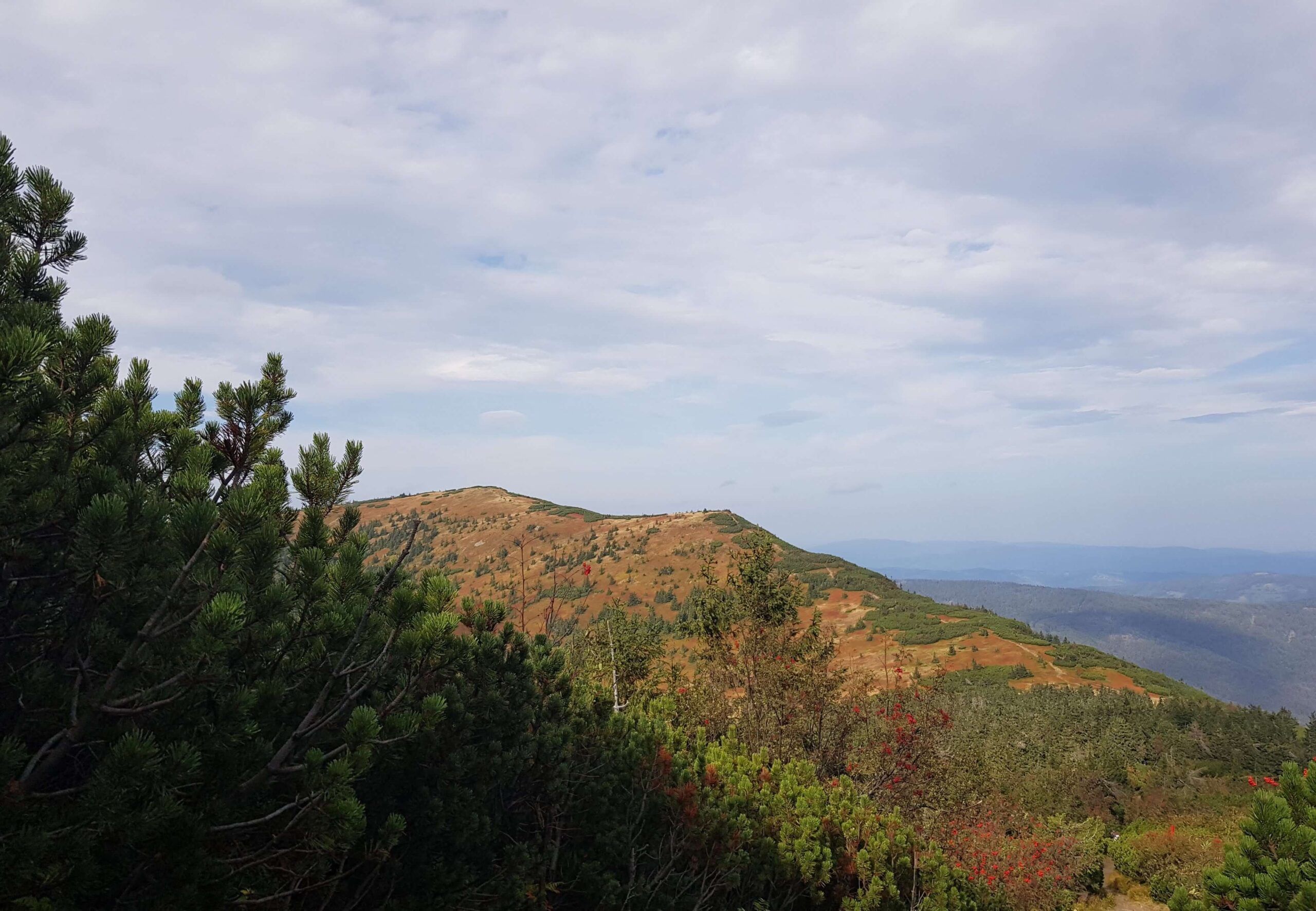 Beskid Żywiecki: Babia Góra